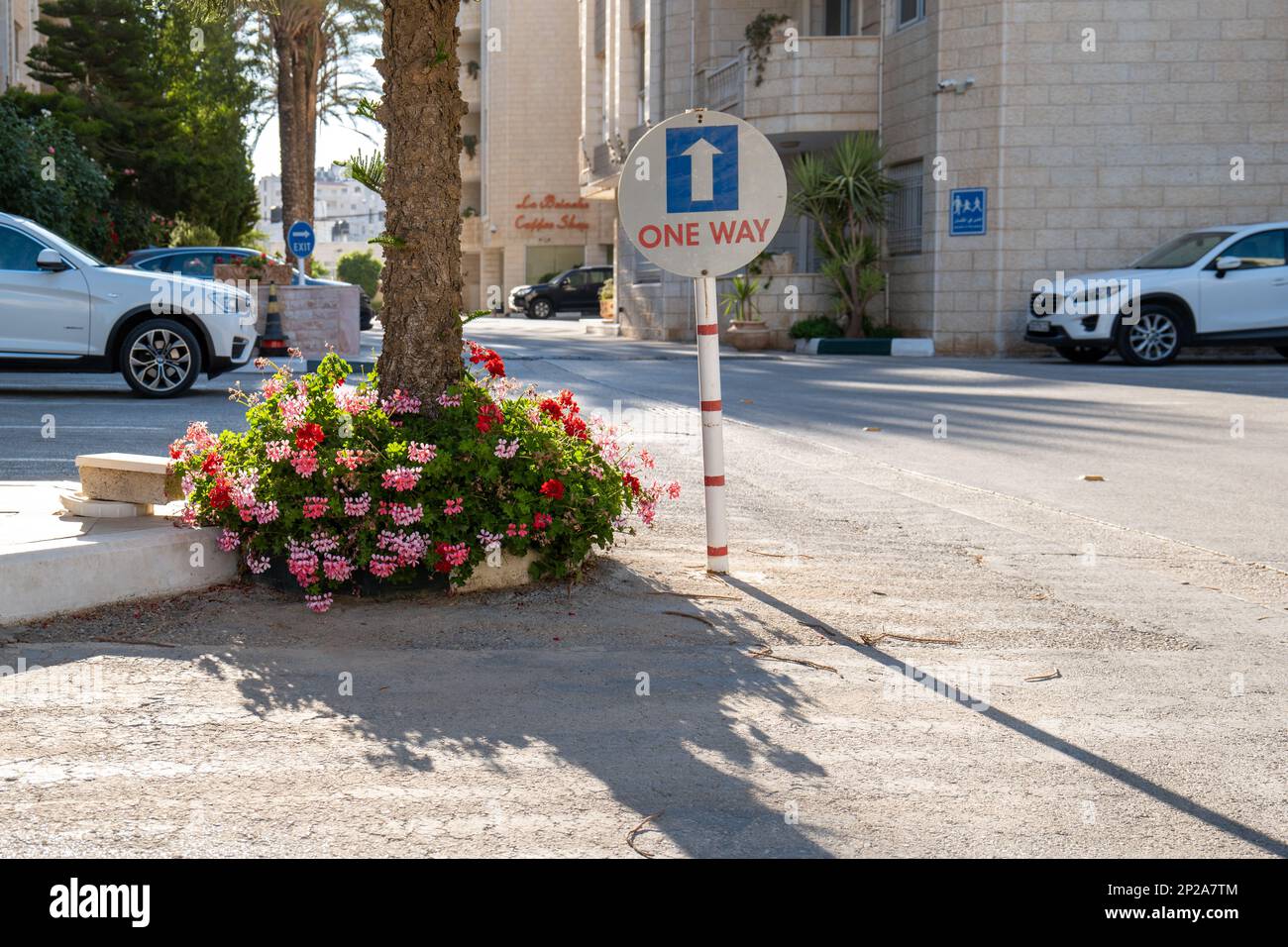Ramallah, Ramallah e al-Bireh Governatorato, Palestina, 23 luglio 2022: Segno che recita 'solo andata' da un albero di pino circondato da fiori in un Hotel Parkin Foto Stock