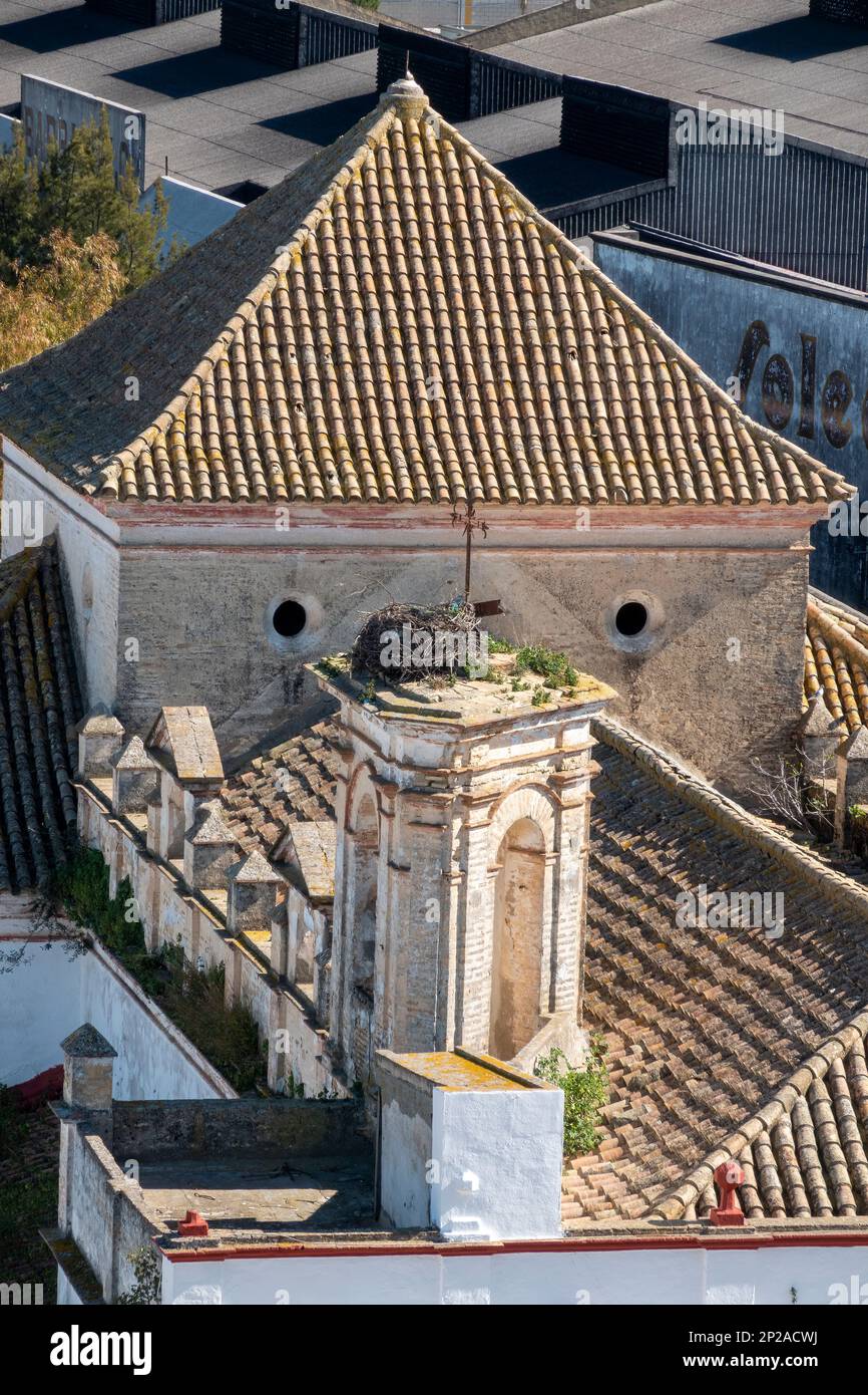 Le cicogne nidificano in una torre circondata da tetti a Sanlucar de Barrameda, Spagna. Foto Stock