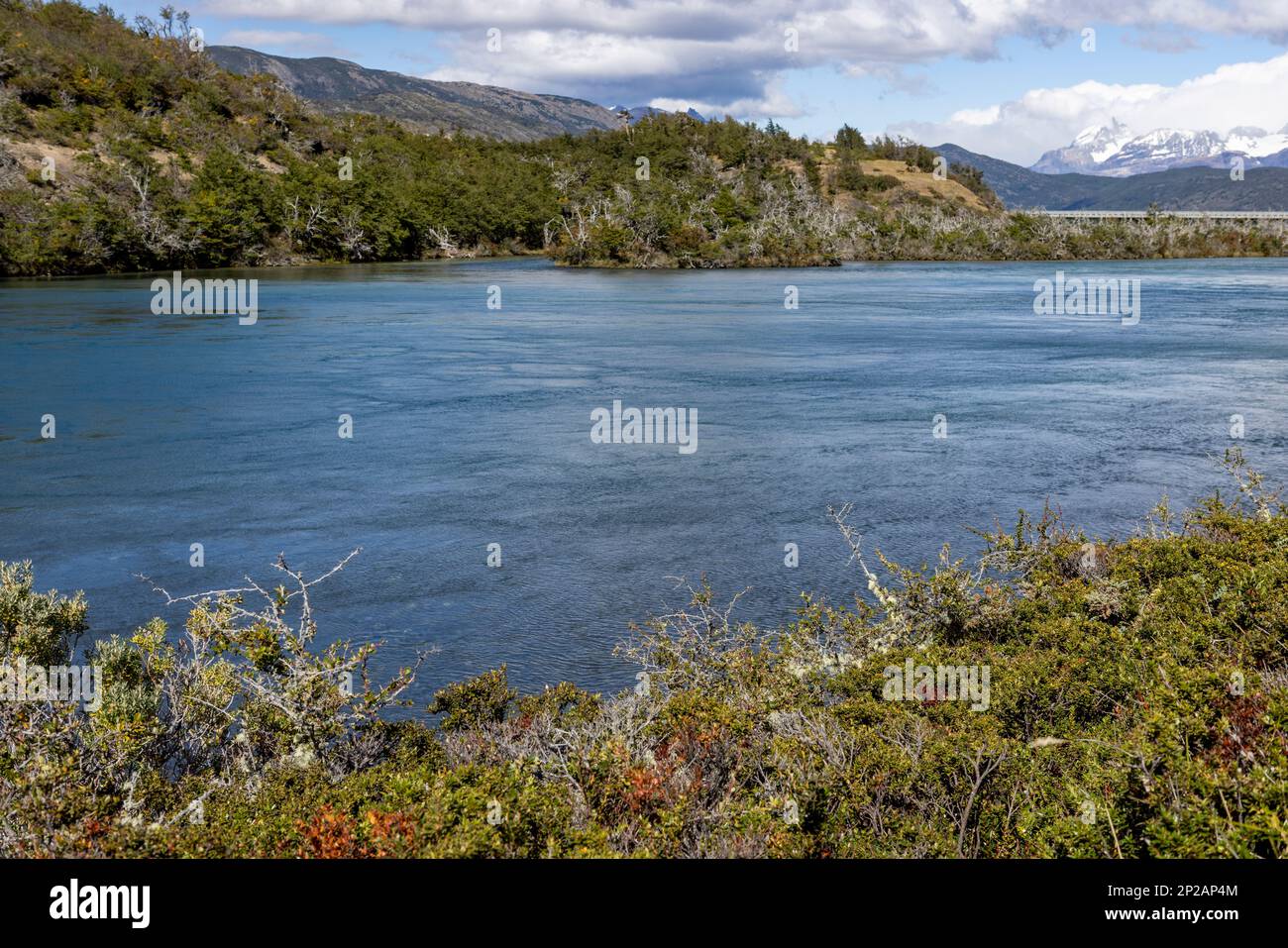 Fiume Serrano con acque cristalline al Parco Nazionale Torres del Paine in Cile, Patagonia, Sud America Foto Stock