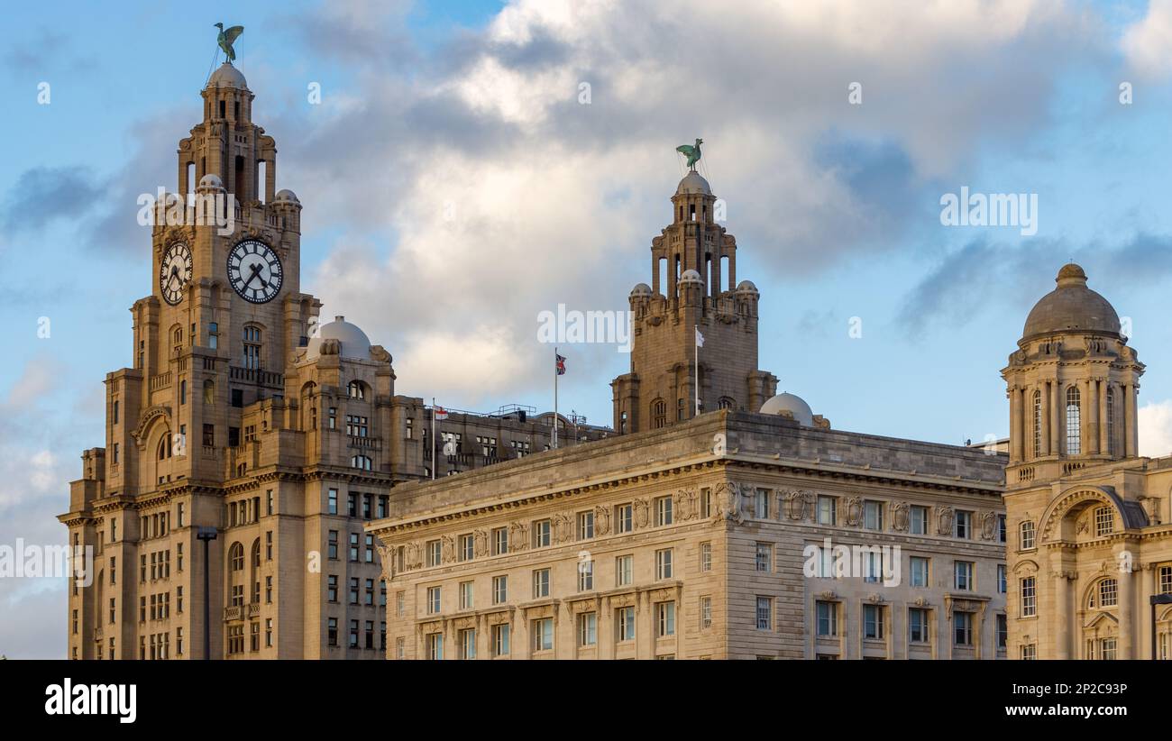 Royal Liver Building con 2 facce orologio che sono 25ft (7,5m) di diametro per consentire alle navi che passano di raccontare l'ora. I due infame Liver Birds sono b Foto Stock