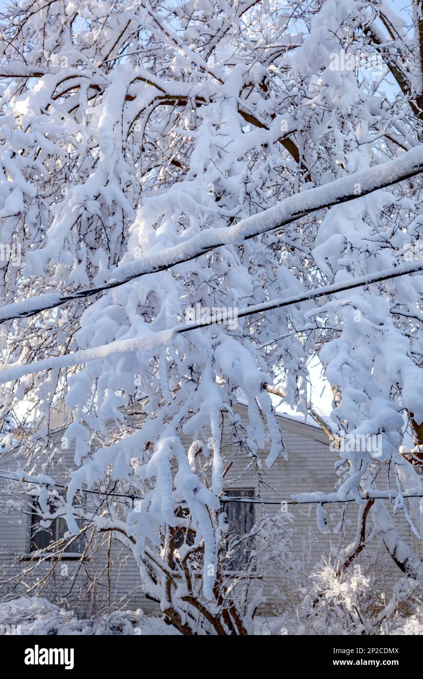 Una pesante coperta di neve copre tutto Bloomfield Hills,MI,USA Foto Stock