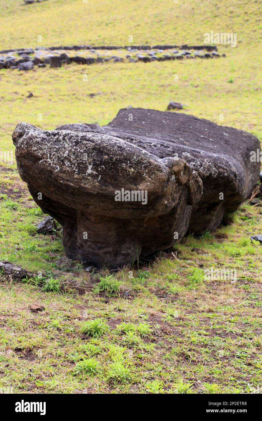 Moai che non sono mai stati completati nella cava di Rano Raraku, Isola di Pasqua, Cile, Sud America Foto Stock