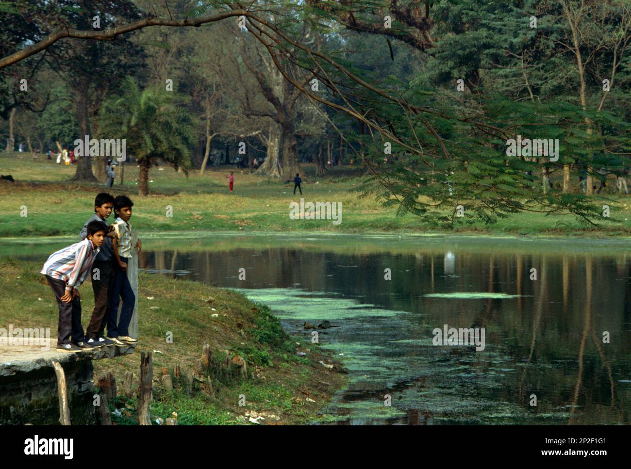 Kolkata (Calcutta) India Calcutta Orto Botanico ora conosciuto come Acharya Jagahdish Chandra Bose Giardino Botanico indiano Boys guardando il lago Foto Stock