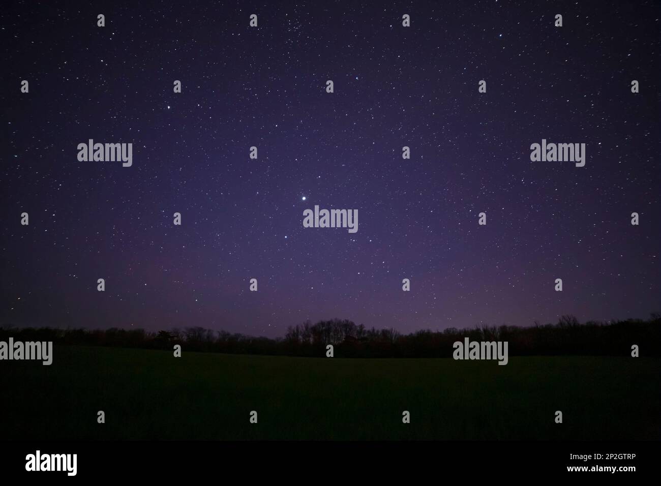 vista sul cielo stellato notturno sopra il campo e la foresta Foto Stock