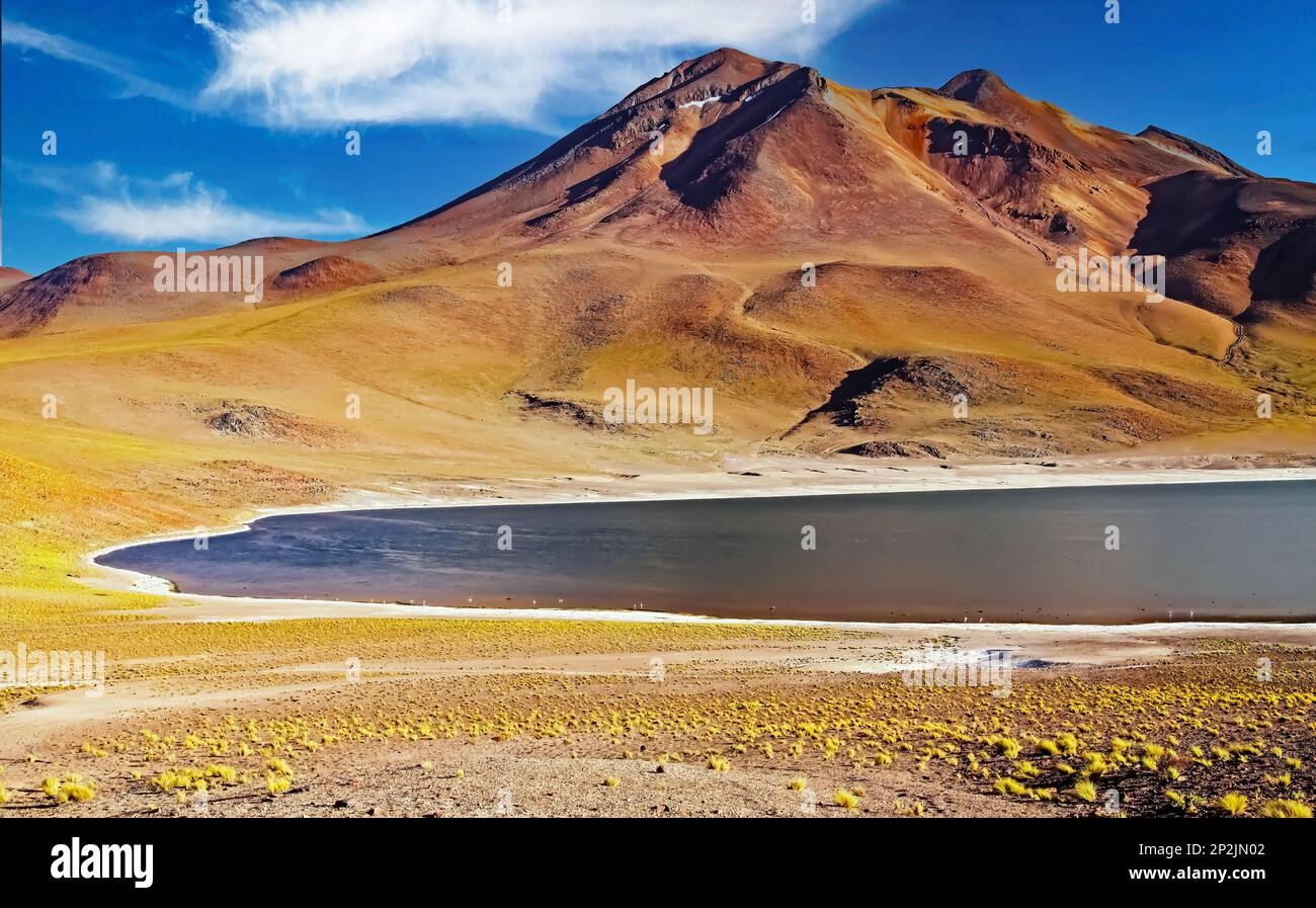 Bel lago d'acqua salmastra nelle pianure alte delle ande, aspra montagna rossa arancione, giallo fiocchi d'erba secca - Laguna Miniques, deserto di Atacama, Cile Foto Stock