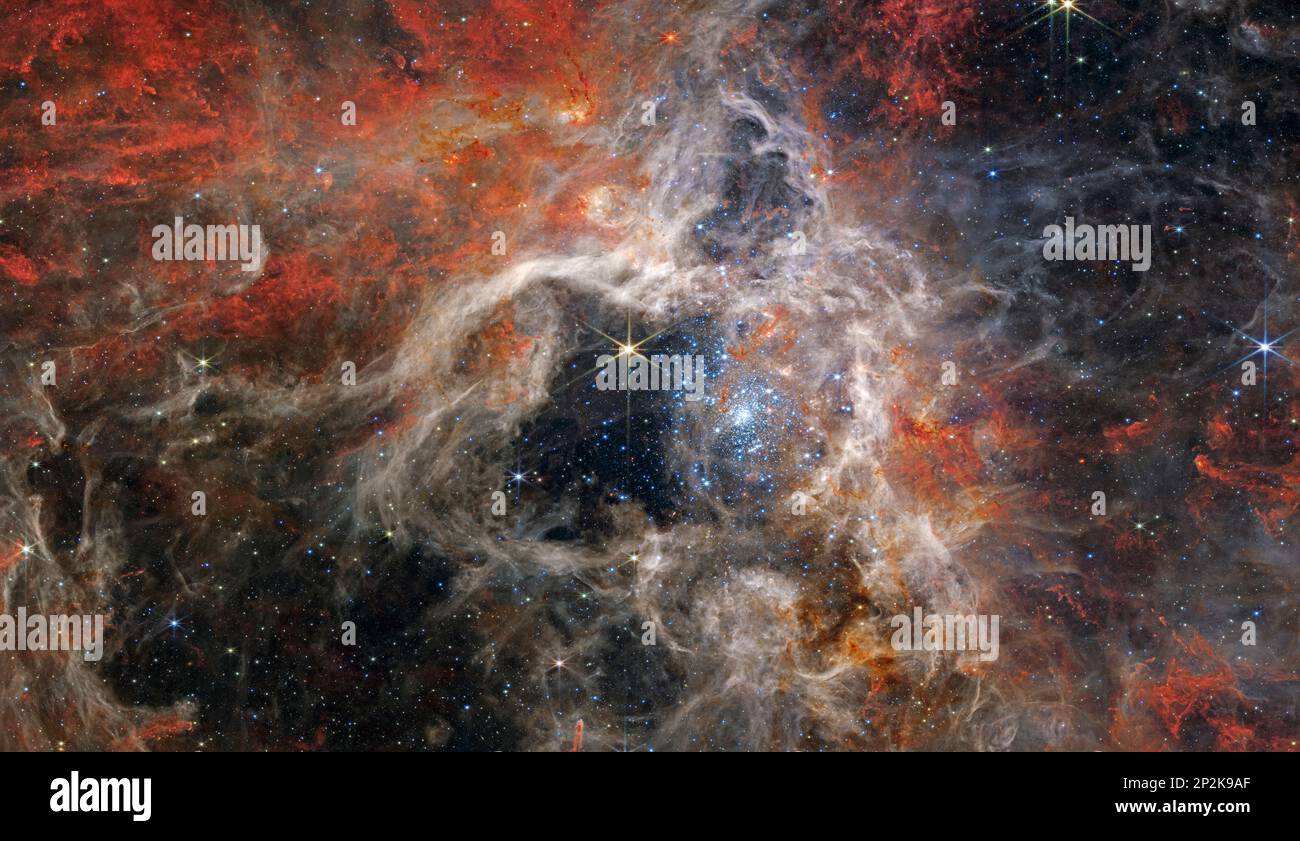 In questa immagine che si estende per 340 anni luce, la telecamera WebbÕs Near-Infrared (NIRCam) visualizza la regione di Tarantula Nebula che forma le stelle in una nuova luce, incluse decine di migliaia di giovani stelle mai viste prima che erano precedentemente avvolte nella polvere cosmica. Questa è l'immagine con risoluzione highestÊavailable di questo mosaico. La regione più attiva sembra scintillare di enormi stelle giovani, che appaiono di un blu pallido. Sparsi tra di loro sono ancora inglobate stelle, che appaiono rosse, ancora da emergere dal polveroso bozzolo della nebulosa. Crediti: NASA, ESA, CSA, STSci, Webb ero team Foto Stock