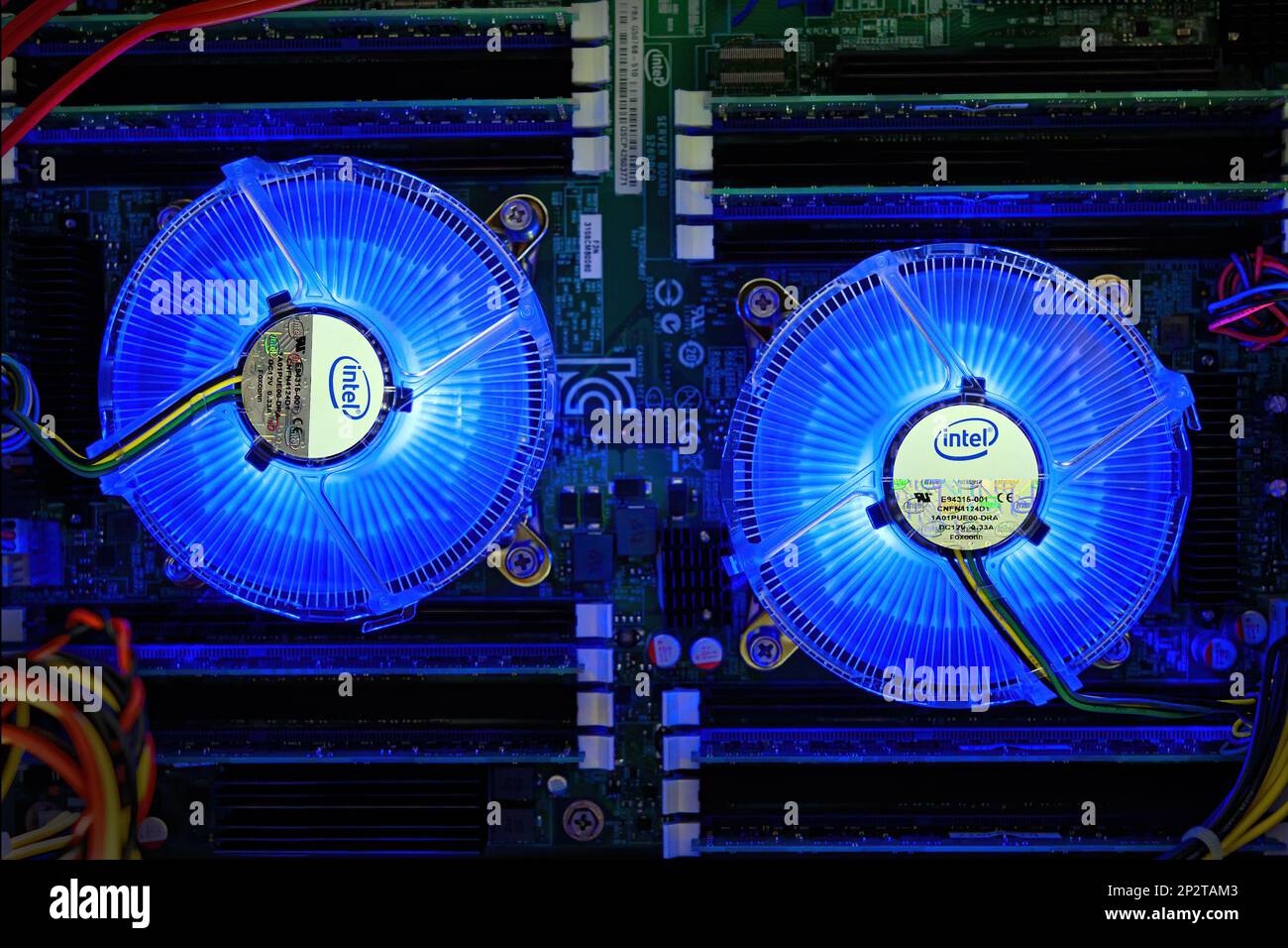 Saint John, NB, Canada - 2 ottobre 2014: Ventole Intel illuminanti sulle CPU in un computer a doppio processore. Le ventole girano, la scheda madre è piuttosto scura. Foto Stock