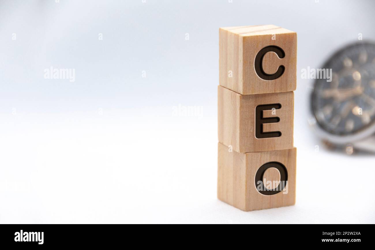 Chief Executive Officer - testo del CEO inciso su blocchi di legno con spazio personalizzabile per il testo. Spazio di copia e concetto di gestione senior. Foto Stock