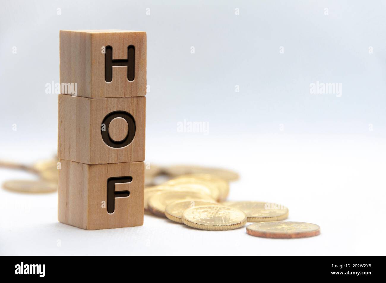 Capo della Finanza - TESTO DI HOF inciso su blocchi di legno con spazio personalizzabile per il testo. Spazio di copia e concetto di gestione senior. Foto Stock