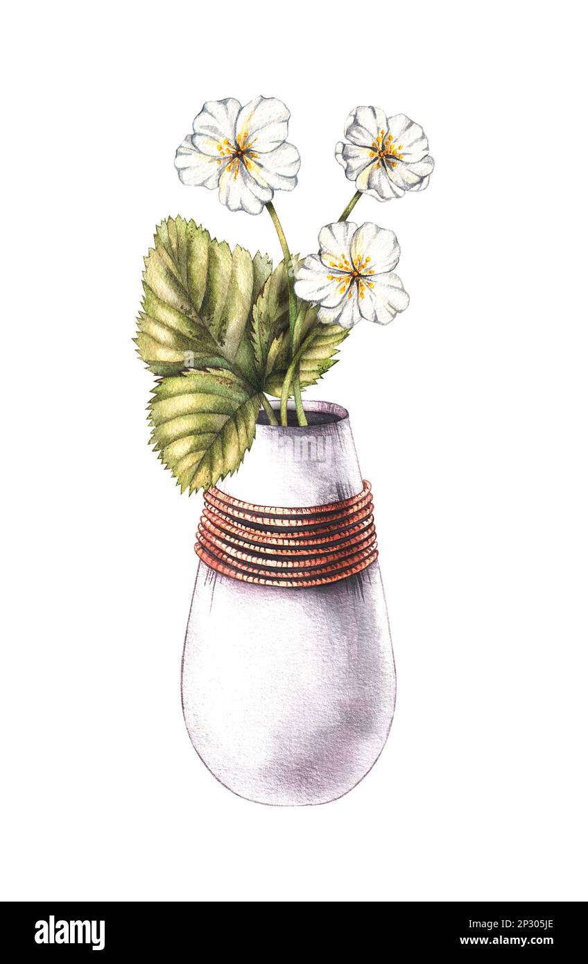 Acquerello fiori bianchi di bacche in vaso su fondo bianco per la progettazione di imballaggi, prodotti, tessuti, cartoline, logo, invito, festival Foto Stock