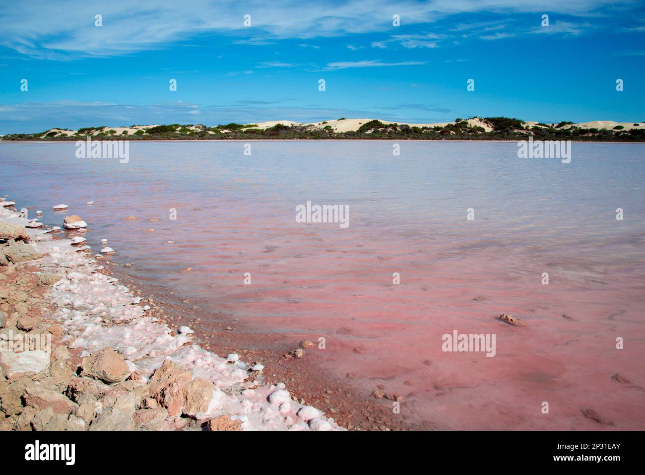 Point Sinclair Pink Lake - Australia Meridionale Foto Stock