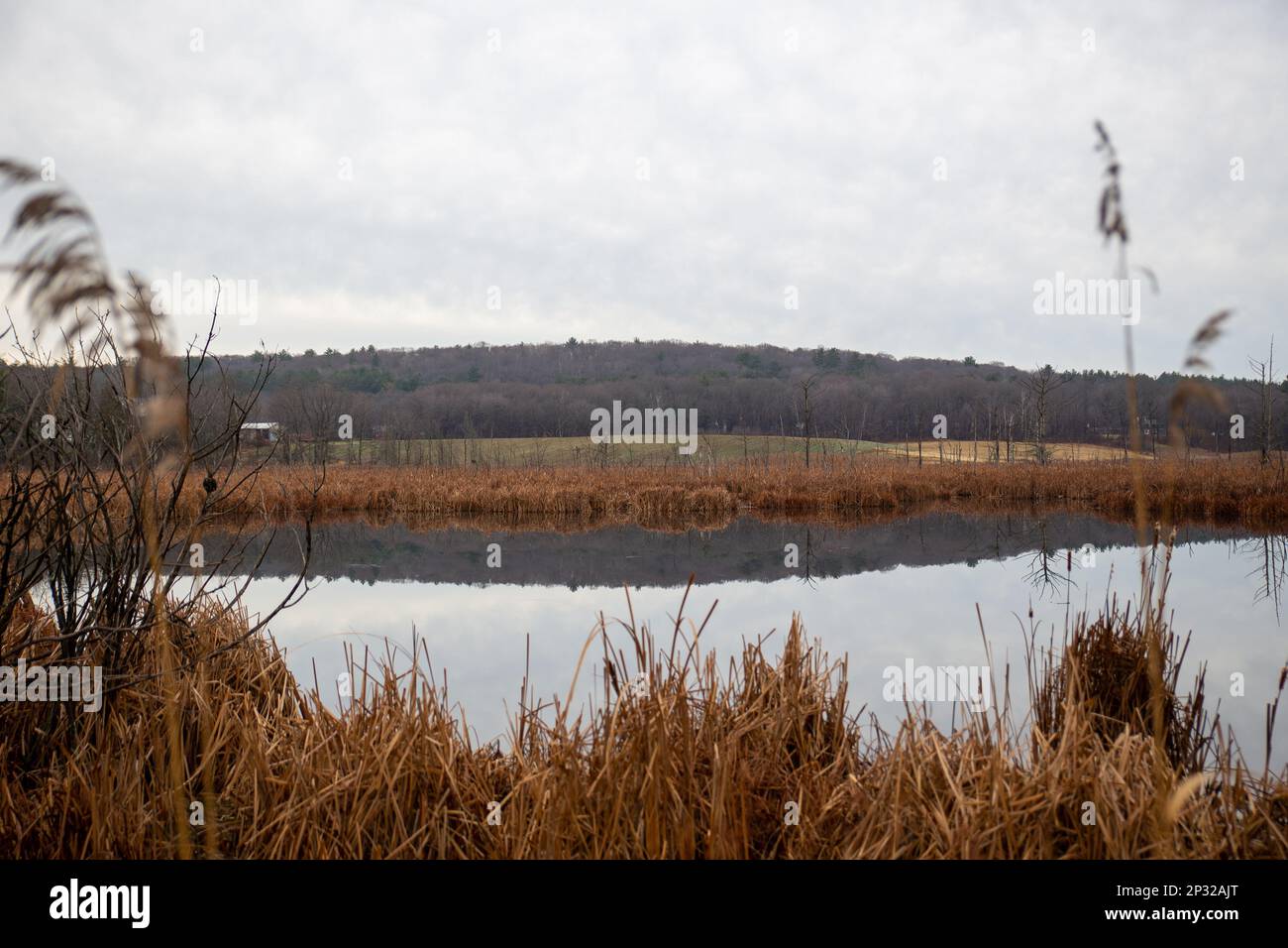 In inverno si affaccia su un ruscello di Ipswich senza neve. Foto Stock
