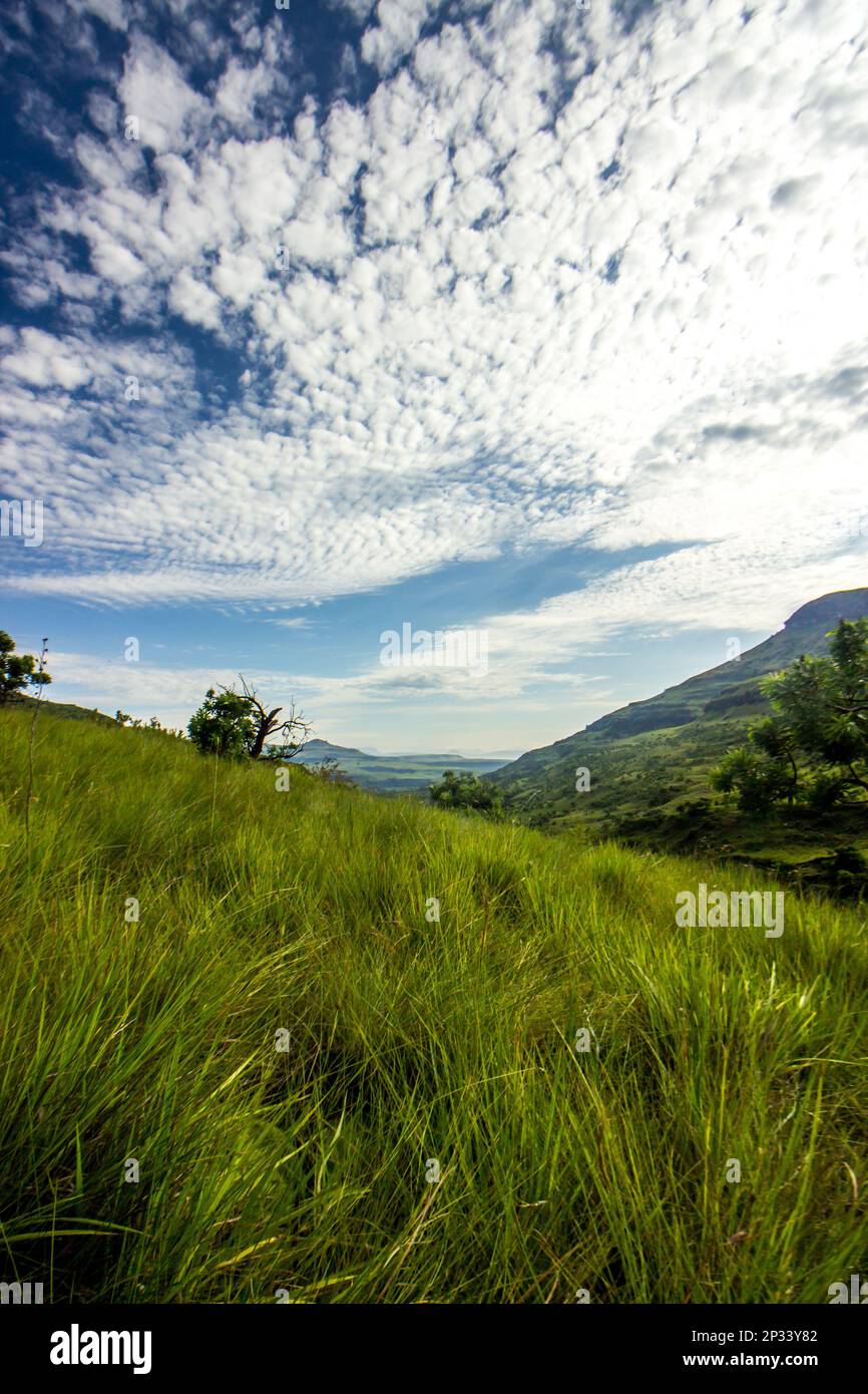 Spettacolare paesaggio di nuvole alto-cumulus di alta quota sopra le praterie afromontane dei Monti Drakensberg del Sud Africa Foto Stock