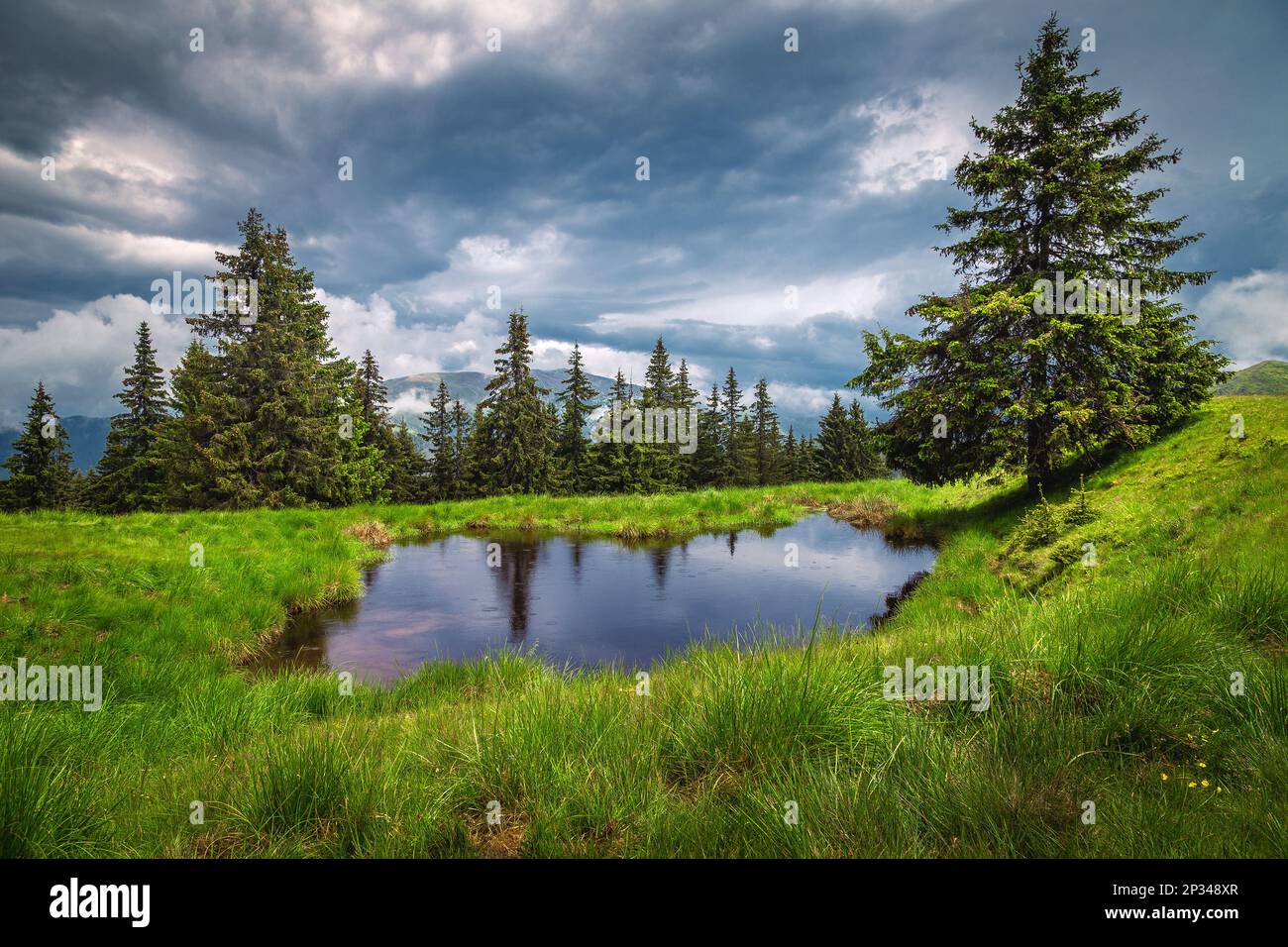 Giornata piovosa con spettacolari nuvole scure e bellissimo laghetto sulla verde foresta glade Foto Stock