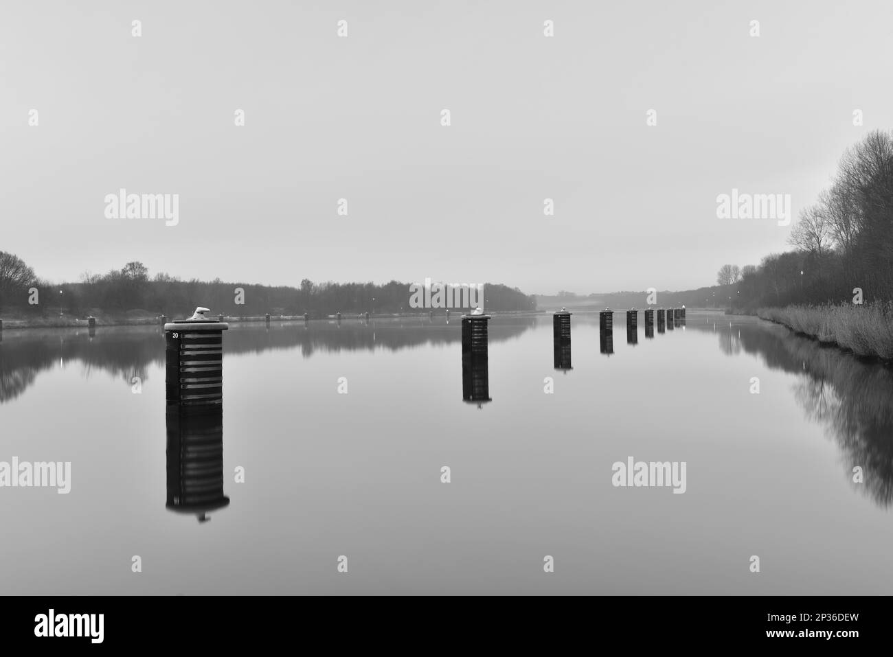 Punto di diversione, delfini, per navi nel canale di Kiel, Schleswig-Holstein, Germania Foto Stock