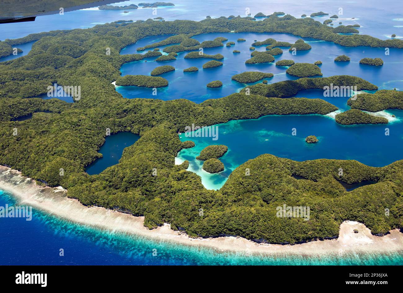 Vista aerea Uccelli vista occhio di piccolo arcipelago tropicale molte piccole isole tropicali verdi, fronte sinistra Jellyfish Mare di Palau, primo piano Foto Stock