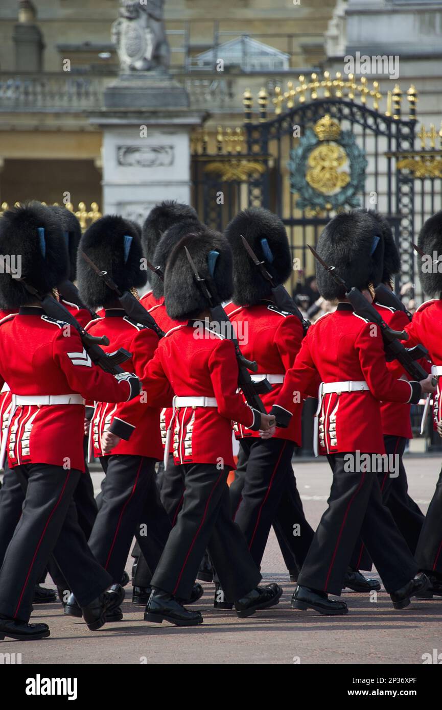 Guardiani delle Guardie irlandesi in uniformi cerimoniali, Cambio della Guardia fuori dal Palazzo, Buckingham Palace, City of Westminster, Londra Foto Stock