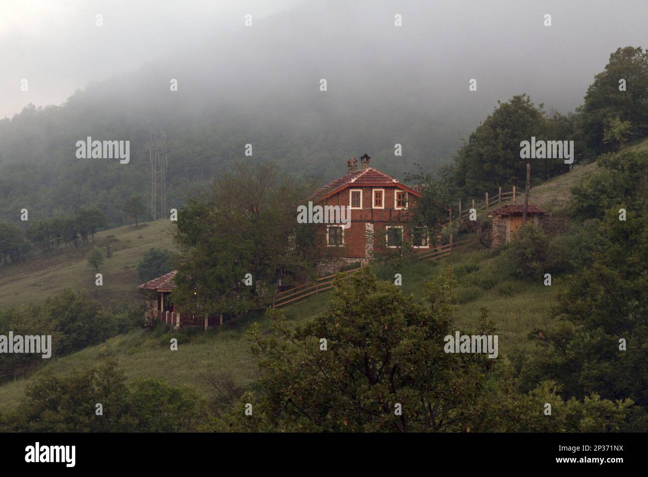 Vila Fauna al centro di reintroduzione del avvoltoio a Rakitna, vicino alla gola di Kresna Bulgaria Foto Stock