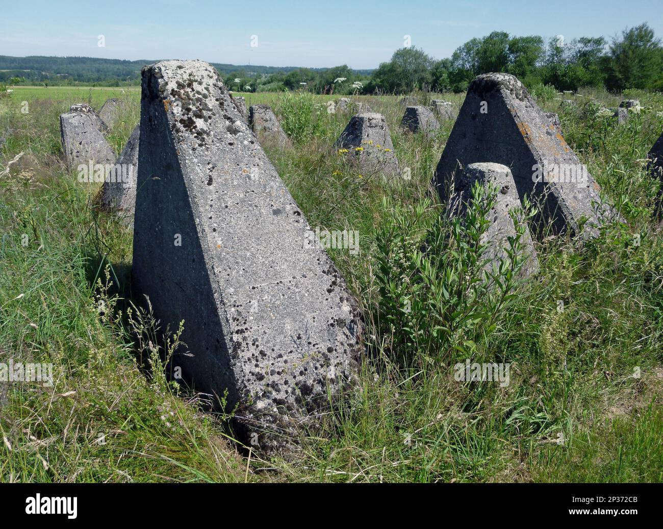 'Dragons Teeth' guerra mondiale due difese di trappola per carri armati in cemento, Siegfried Line (Westwall), Renania settentrionale-Vestfalia, Germania Foto Stock
