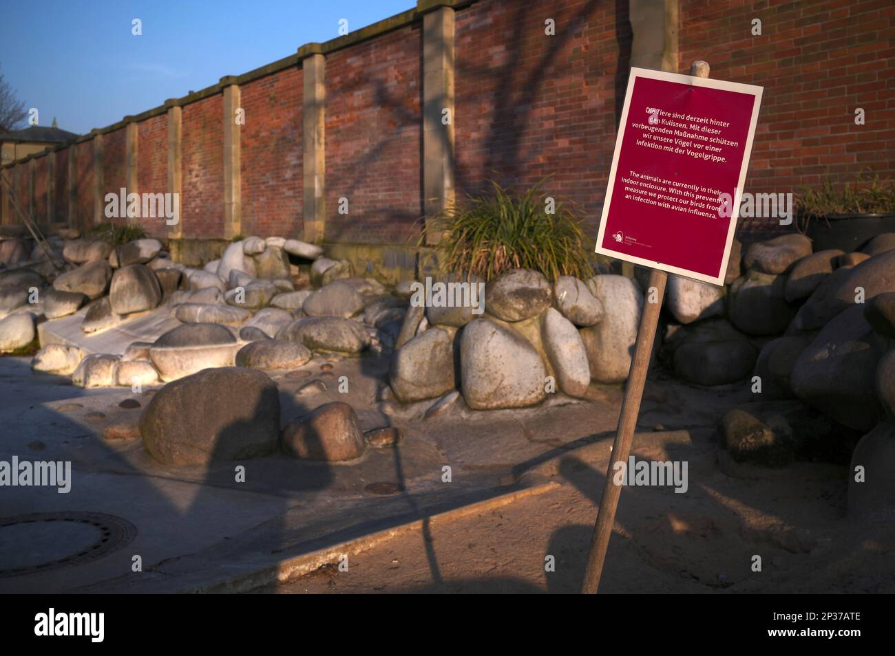 Cartello, voliere e recinzioni di uccelli chiusi a causa dell'influenza aviaria dilagante, qui pinguini con spettacolo (Spheniscus demersus), Wilhelma, Zoological-Botanical Foto Stock Cartello, voliere e recinzioni di uccelli chiusi a causa dell'influenza aviaria dilagante, qui pinguini con spettacolo (Spheniscus demersus), Wilhelma, Zoological-Botanical Foto Stock