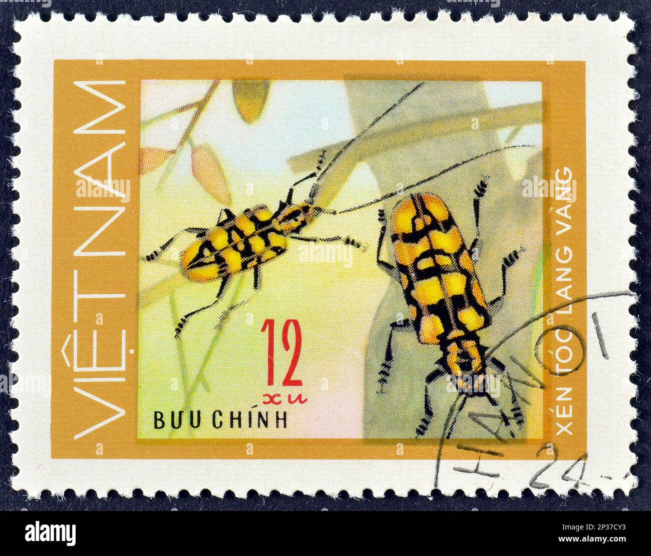 Francobollo cancellato stampato dal Vietnam, che mostra il Beetle Longhorn (Cerambycidae), con macchie gialle, intorno al 1977. Foto Stock