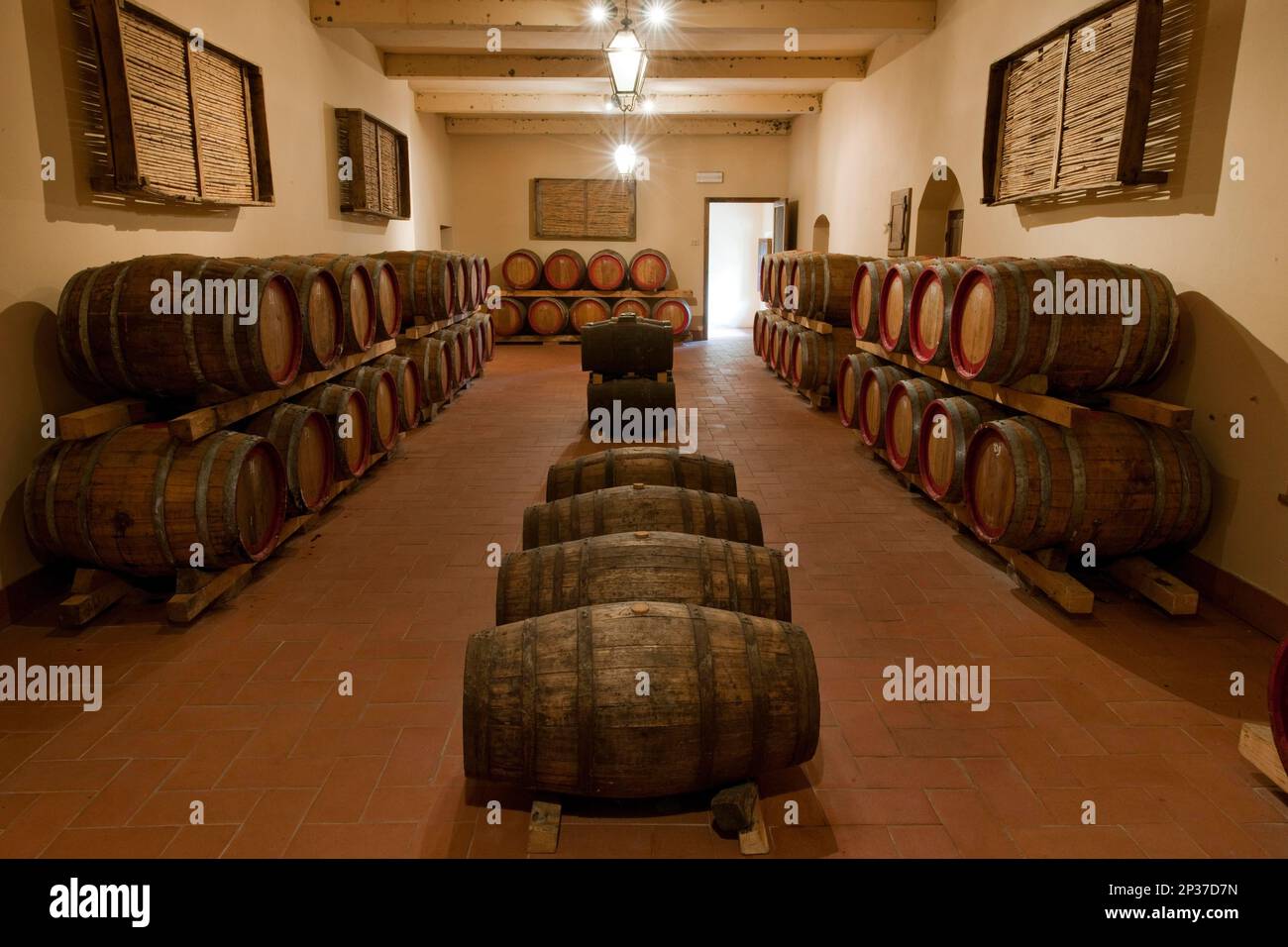 Botti di vino Santo, Castello d'Albola, Radda in Chianti, Toscana, Italia Foto Stock