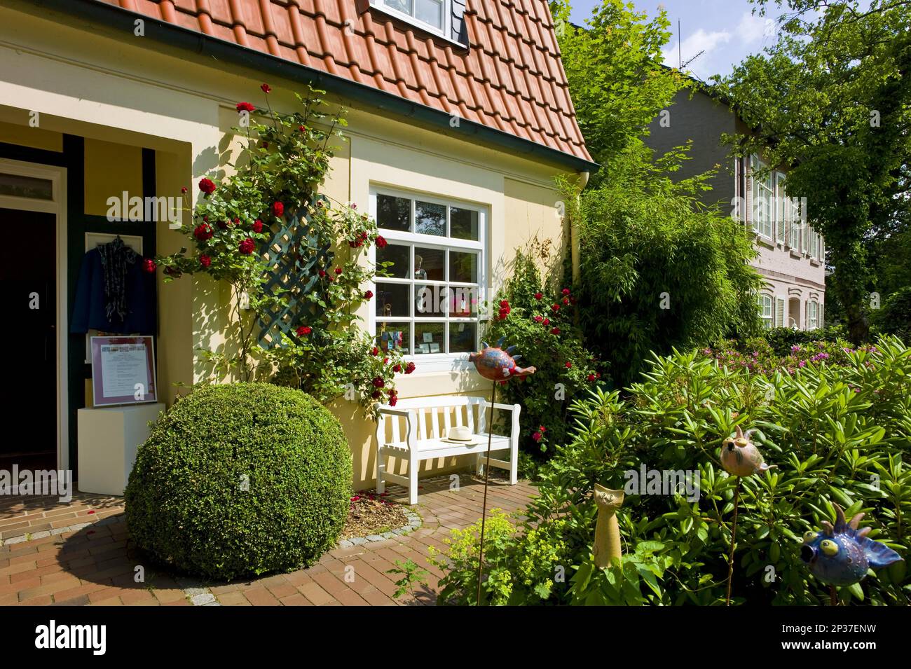 Giardino anteriore di una boutique a Worpswede con rosebush, quartiere di Osterholz, Germania Foto Stock