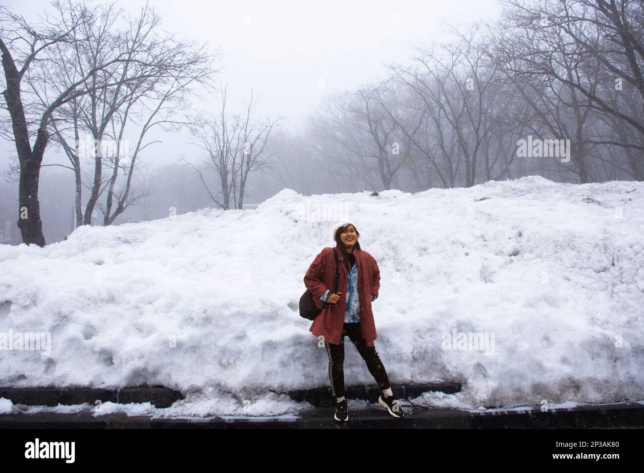 Viaggiatore thai donne persone viaggio visita e posa ritratto per scattare foto caduta di neve coperta nella foresta sul vulcano Hanla Mountain o il Monte Halla a Hal Foto Stock