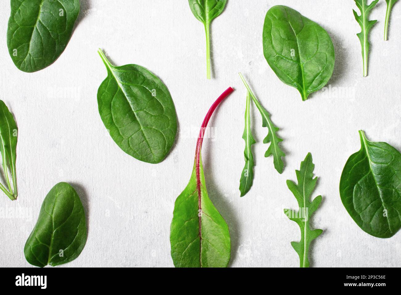 Modello di insalata mista foglie, rucola, spinaci, bietola su sfondo grigio. Foto Stock