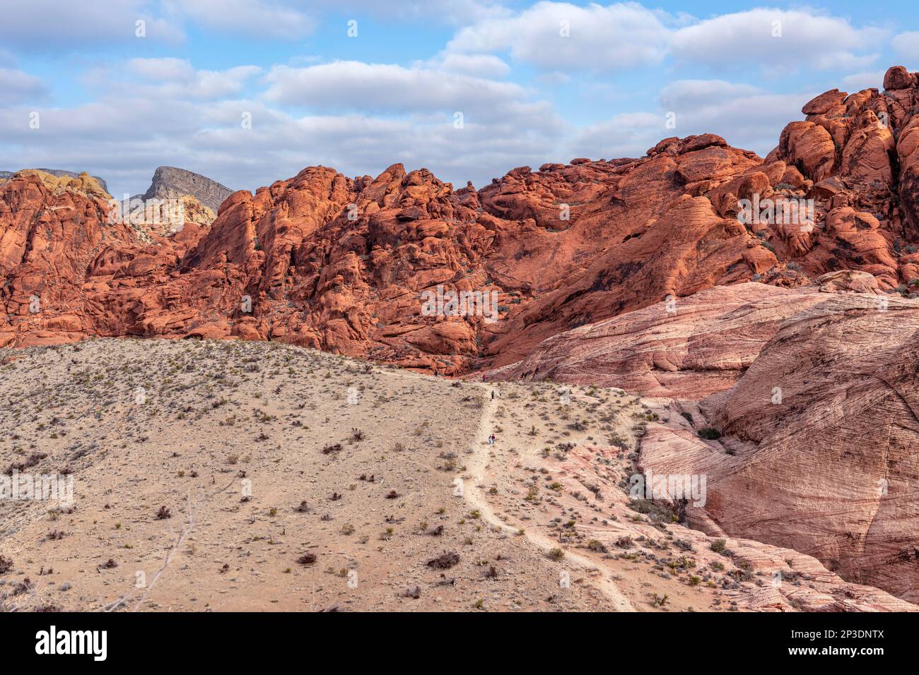 I sentieri escursionistici si trovano in tutto il Red Rock Canyon a Las Vegas, che offrono agli avventurieri l'accesso alla remota natura selvaggia dell'area protetta. Foto Stock