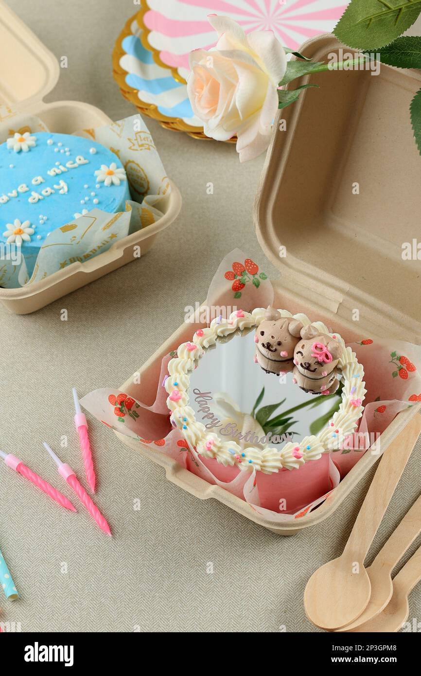 Torta di crema di burro coreana Mirror Bento Lunchbox per la festa di compleanno Foto Stock