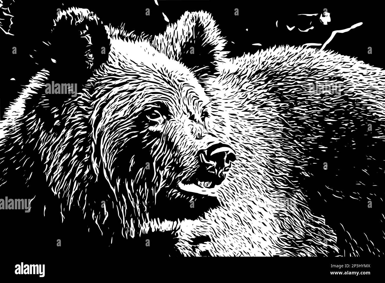 Primo piano di una testa di orso marrone, illustrazione per T-shirt, vestiti, tatuaggio, logo. Illustrazione Vettoriale