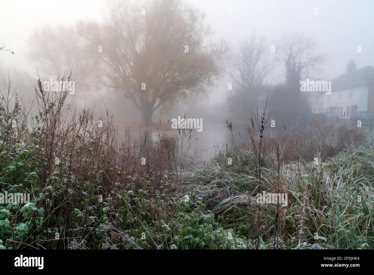 Inverno nebbia scena mattina di erba coperta di ghiaccio e piante selvatiche con stagno sullo sfondo e alcuni alberi e vecchie case che svaniscono nella nebbia. Kent. Foto Stock