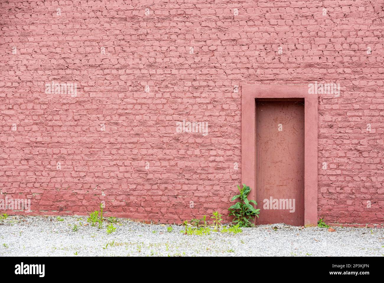 Porta in muratura in un muro di mattoni dipinti di rosa. Bruxelles. Foto Stock