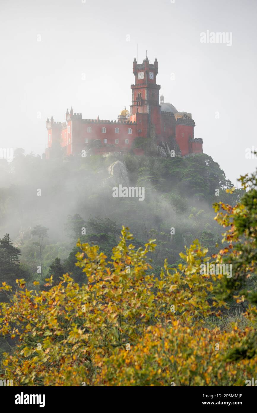 Palazzo Palacio da pena, situato in cima alla collina della Serra de Sintra, con nebbia e foglie autunnali in primo piano, Sintra, la regione di Lisbona, Portogallo Foto Stock