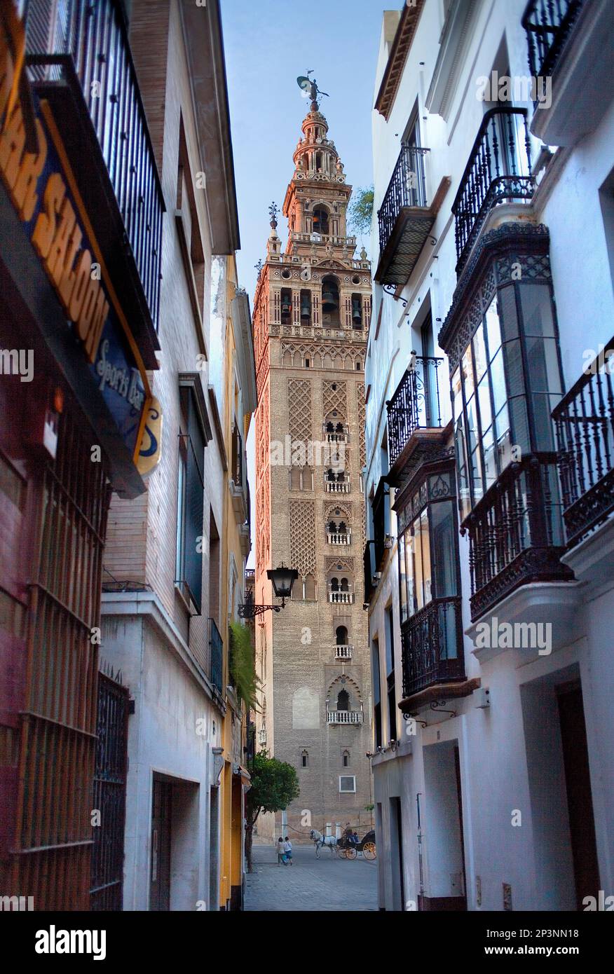 Cattedrale,torre Giralda da Placentines street,Sevilla,Andalucia,Spagna Foto Stock