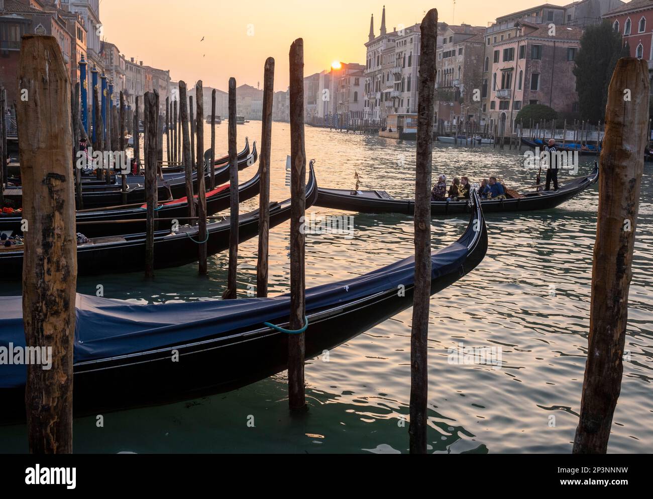 Gondoliere e passeggeri sul Canal Grande, Venezia, Italia Foto Stock