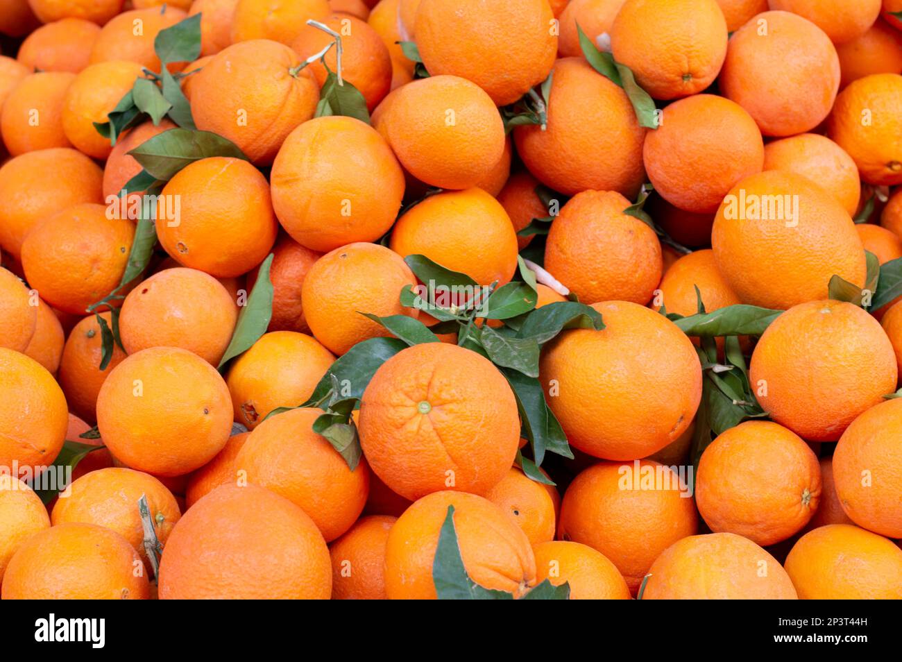 Arance fresche immagini e fotografie stock ad alta risoluzione - Alamy