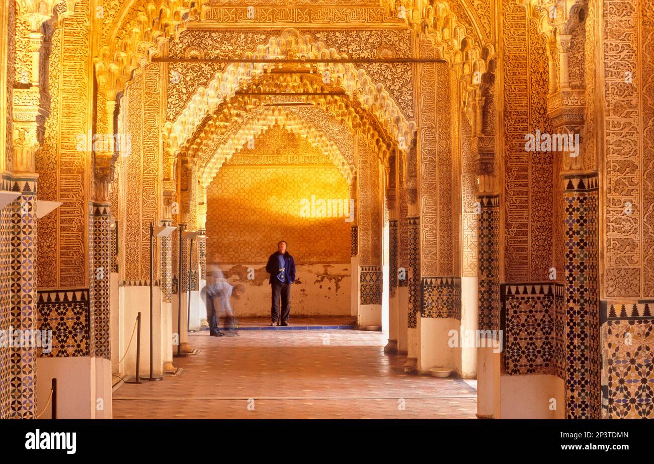 Kings room (sud-est Galleria). Palazzo dei leoni. Palazzi Nazaries .Alhambra di Granada. Andalusia, Spagna Foto Stock
