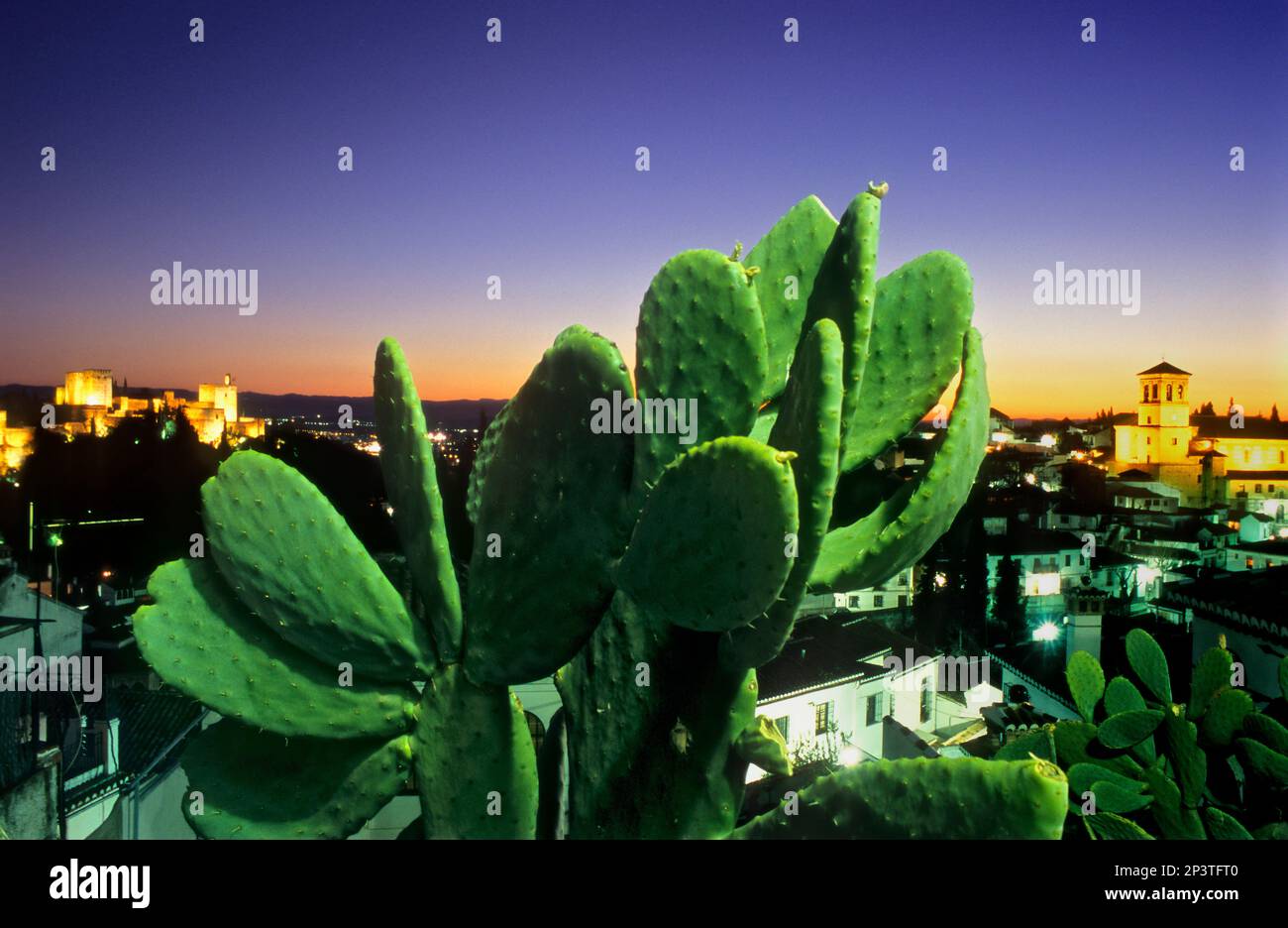 La vista della citta'. Alhambra e il quartiere Albaicín(a destra la Iglesia del Salvador). Granada, Andalusia, Spagna Foto Stock