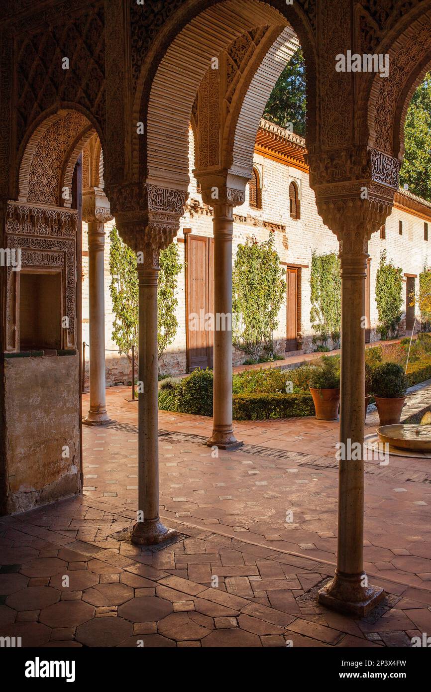 Patio de la Acequia (cortile del fosso di irrigazione). El Generalife. La Alhambra. Granada. Andalusia Foto Stock