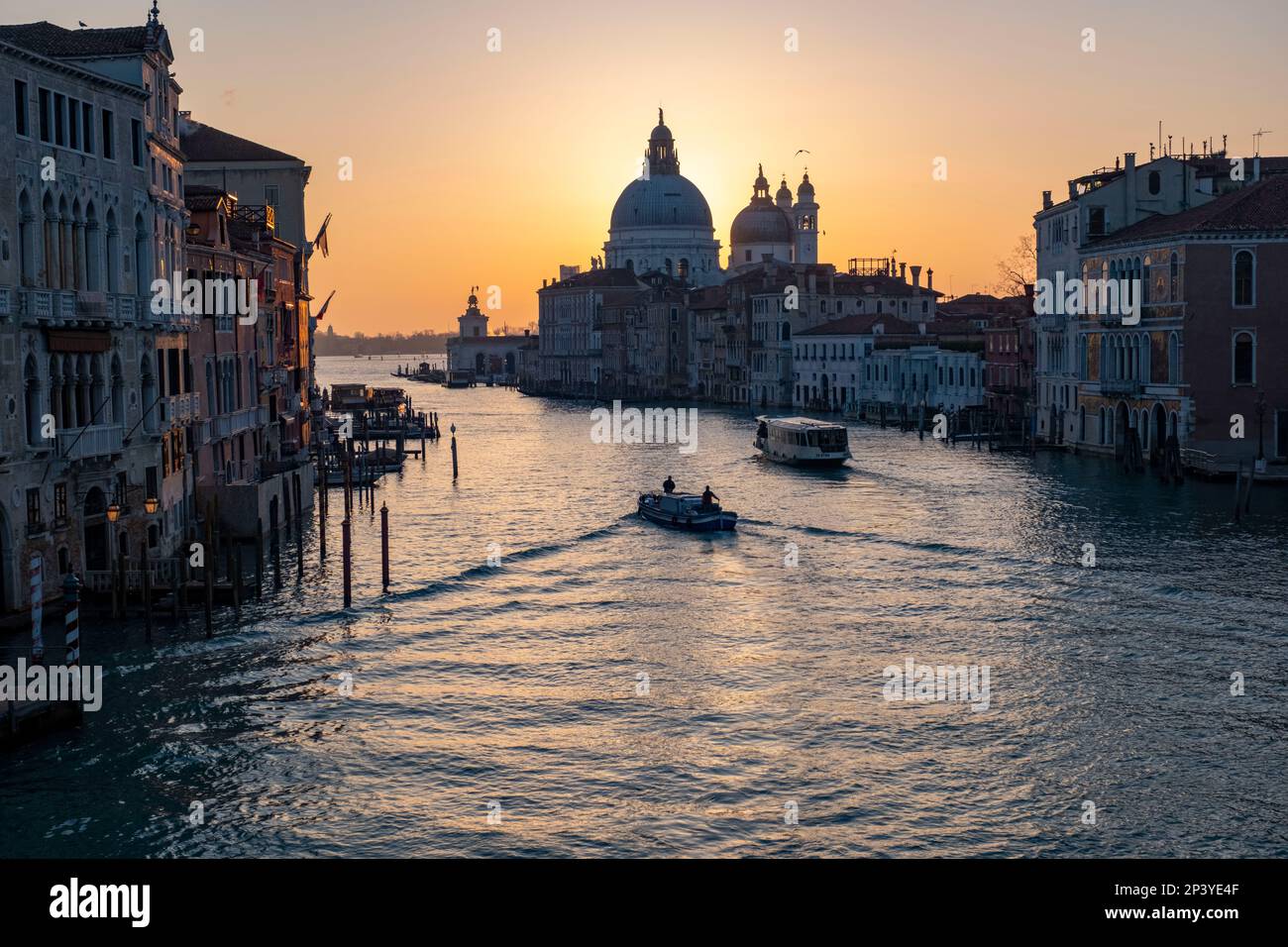 Vista dal ponte dell'Accademia del Canal Grande e dalla Basilica di Santa Maria della Salute all'alba, Venezia, Italia. Foto Stock