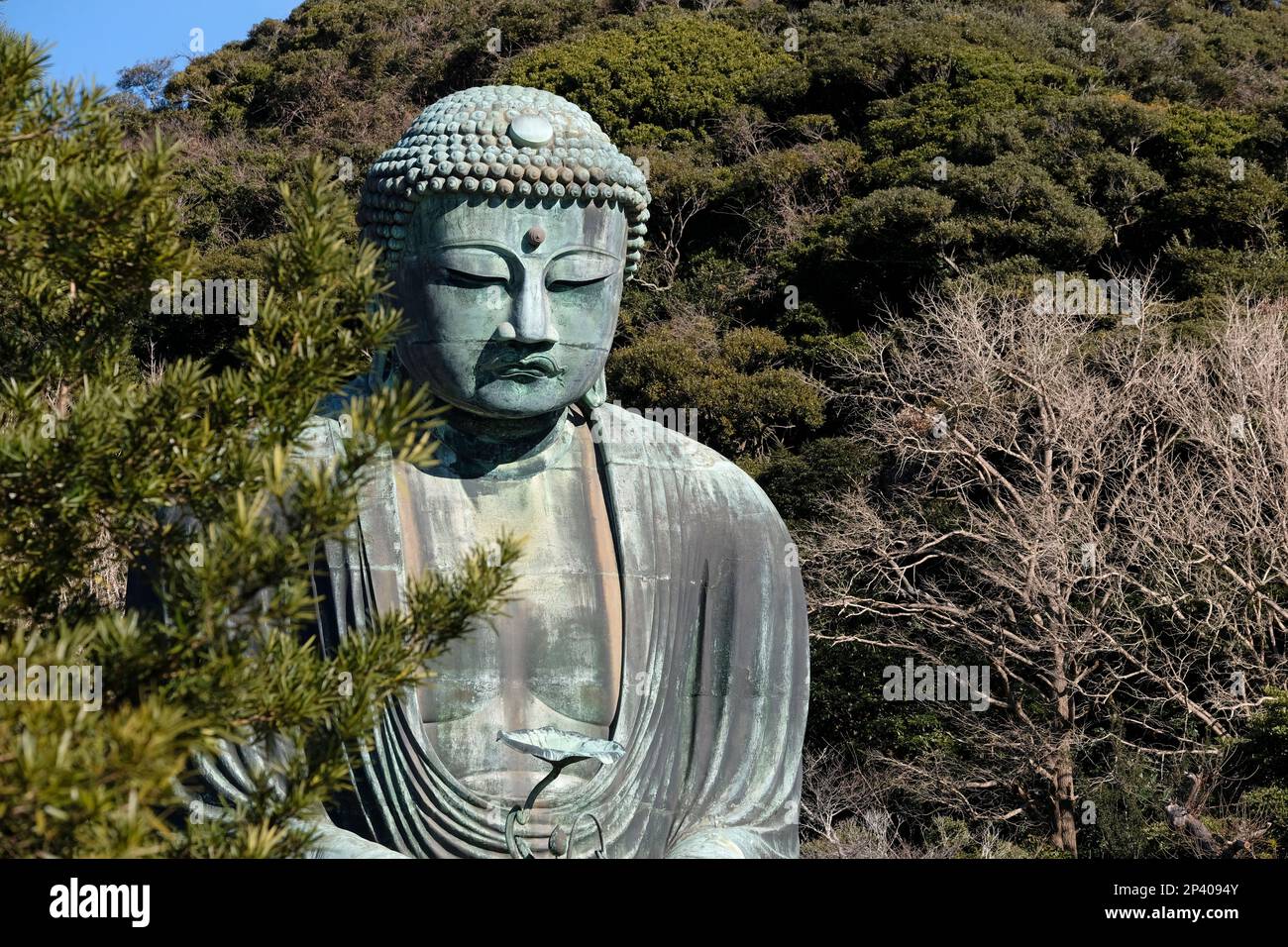 Grande buddha a Kamakura, Giappone Foto Stock
