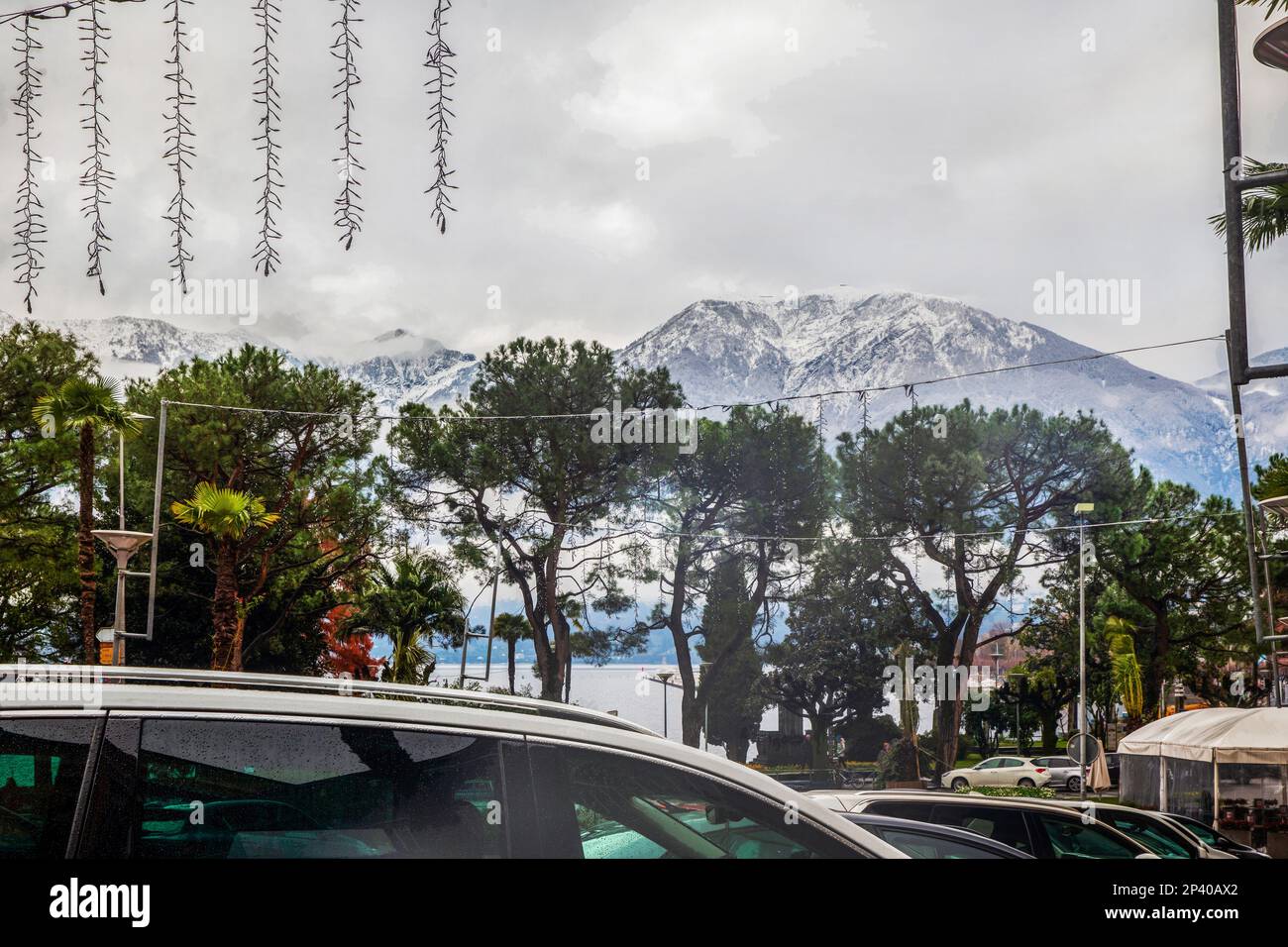 Argine del lago maggiore in Svizzera, vicolo dei pini e Alpi svizzere. Cloudy ora nel mese di dicembre a Locarrno.. Auto nei parcheggi. Foto Stock