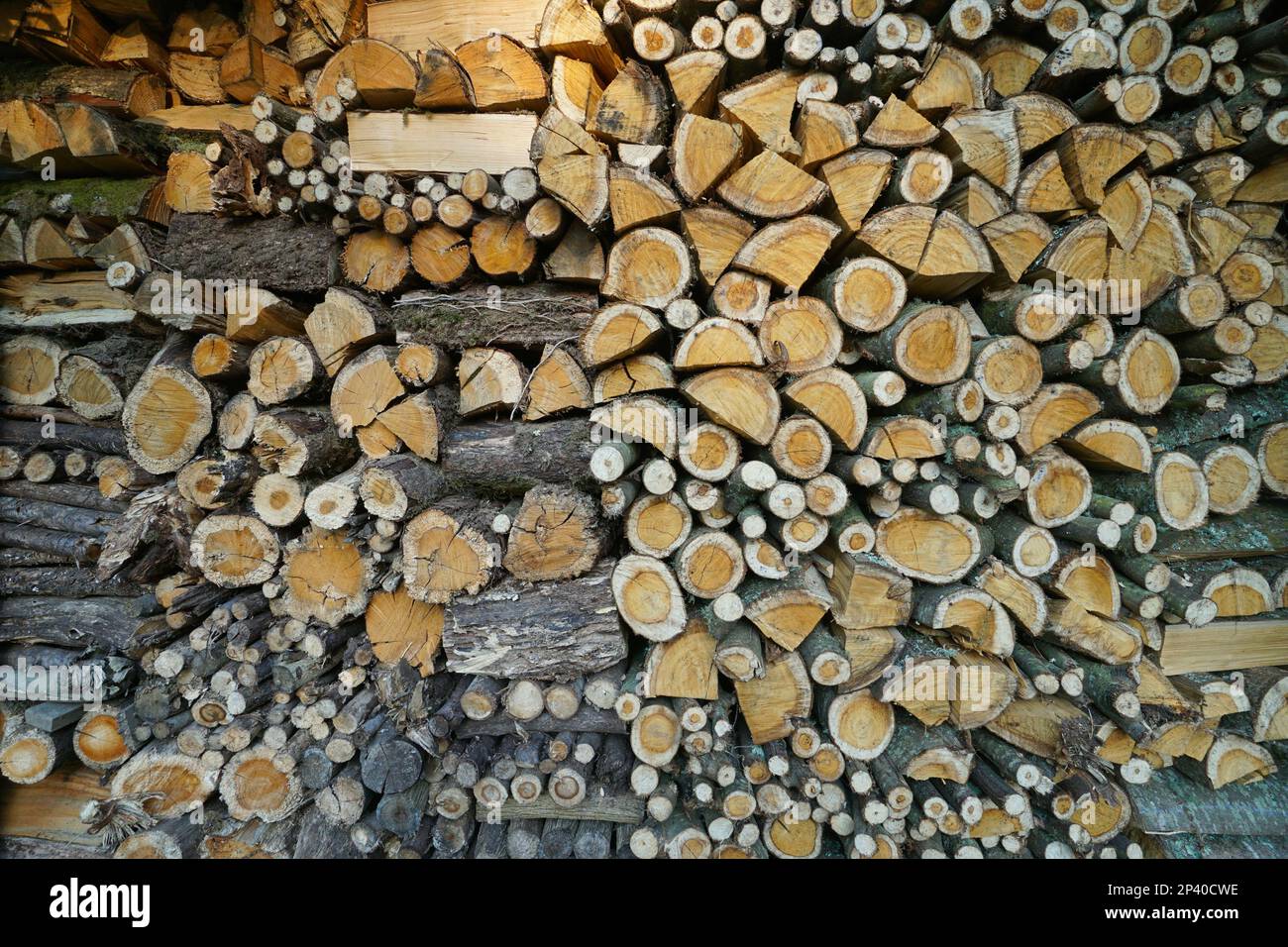 Struttura completa di legna da ardere impilata, scena naturale Foto Stock