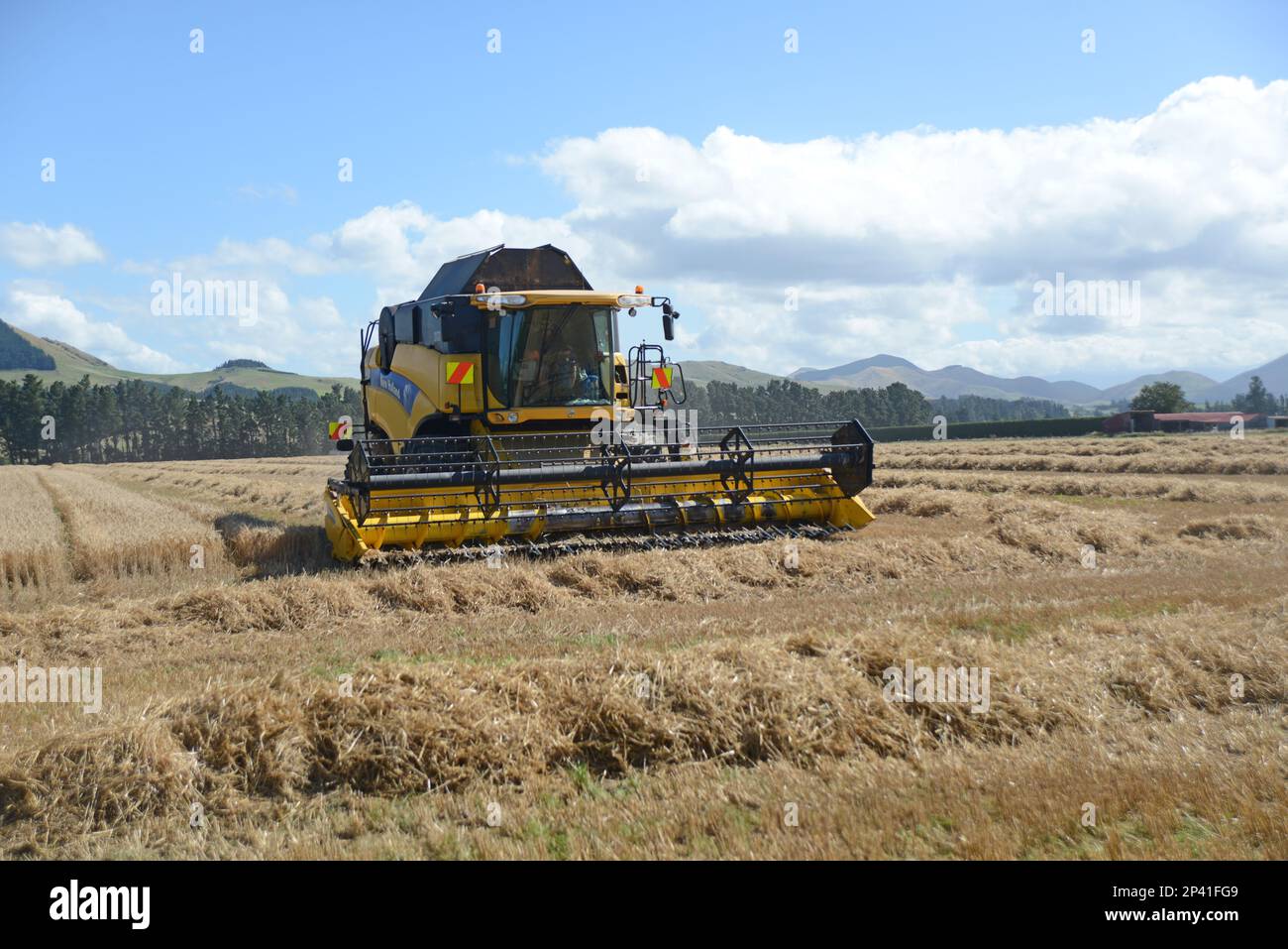 DARFIELD, NUOVA ZELANDA, 12 FEBBRAIO 2023: Una mietitrebbia partecipa alla raccolta del grano della nuova stagione nelle pianure di Canterbury, South Island, New Zeal Foto Stock