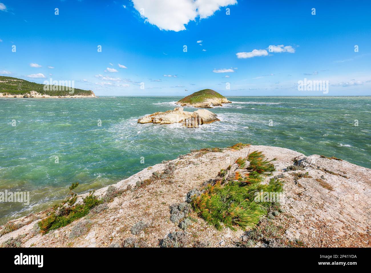 Sopra le scogliere sulla costa di Vieste. Estate costa rocciosa del mare Baia di campi Vieste sulla penisola del Gargano, Puglia, Italia Foto Stock