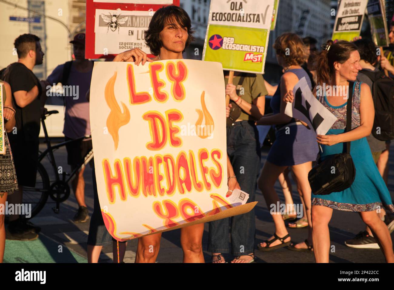Buenos Aires, Argentina; 3 marzo 2023: Colpo globale sul clima. Attivista in possesso di un poster che chiede politiche di protezione ambientale: La legge sulle zone umide ora Foto Stock