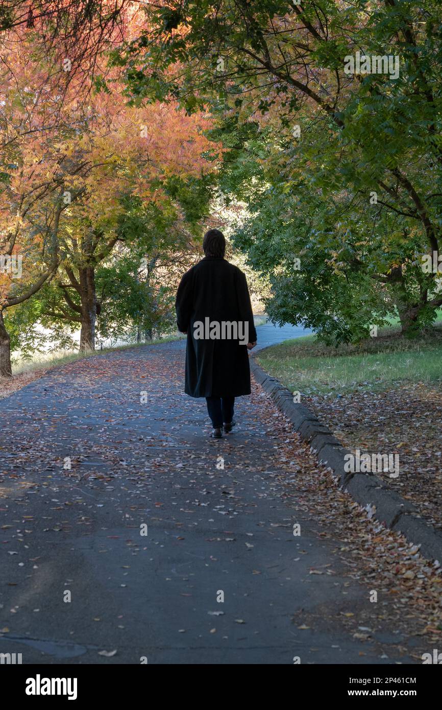 Davis; California; USA. Novembre 06, 2022. Un giovane uomo in una giacca nera cammina i sentieri dell'arboreto UC Davis in autunno con le sue spalle al Foto Stock