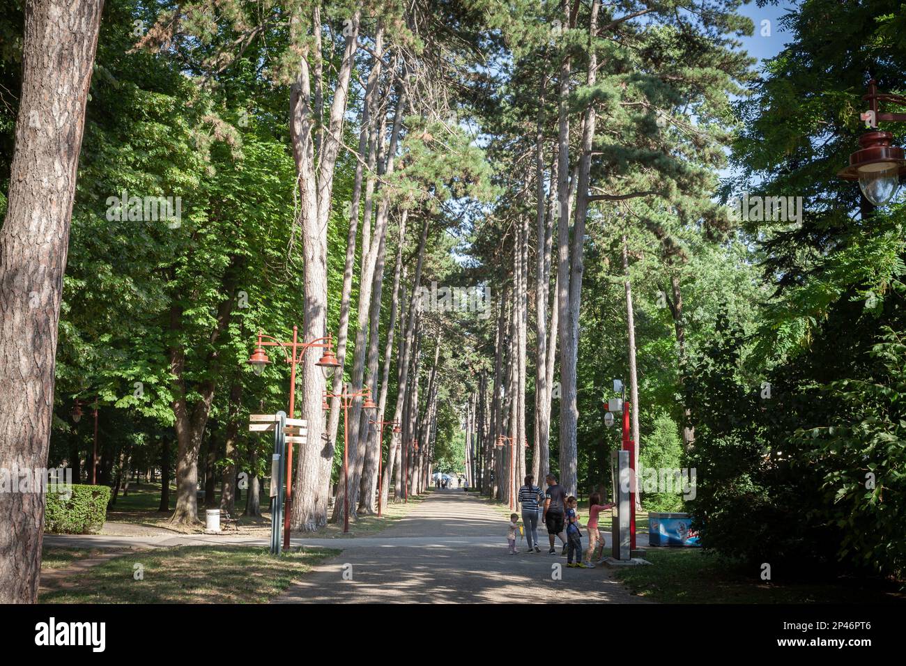 Immagine di una strada principale di Park Bukovicke Banje in Arandjelovac, serbia. Foto Stock